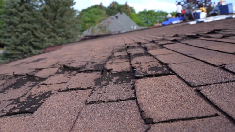 Best Roof Leak Repair  in Maltby, WA